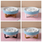 Anti - Choking and Anti - Spillage Pet Feeding Food Bowl for Dog and Cat