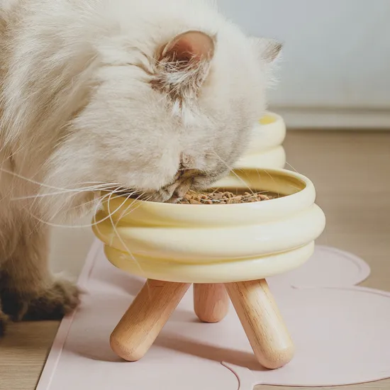 Colorful Net-Protecting Ceramic Pet Cat and Dog Bowl with High Wooden Foot