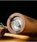 Acacia Wood Manual Pepper Grinder Set for Grinding Spice and Salt