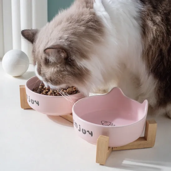 Ceramic Pet Cat Bowl Dog Bowl with Bamboo Wooden Shelf