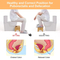 Natural Non - Slip Bamboo Squatting Toilet Stool for Adults and Children