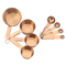 Stainless Steel Liquid and Dry Powder Measuring Scoop Set for Kitchen
