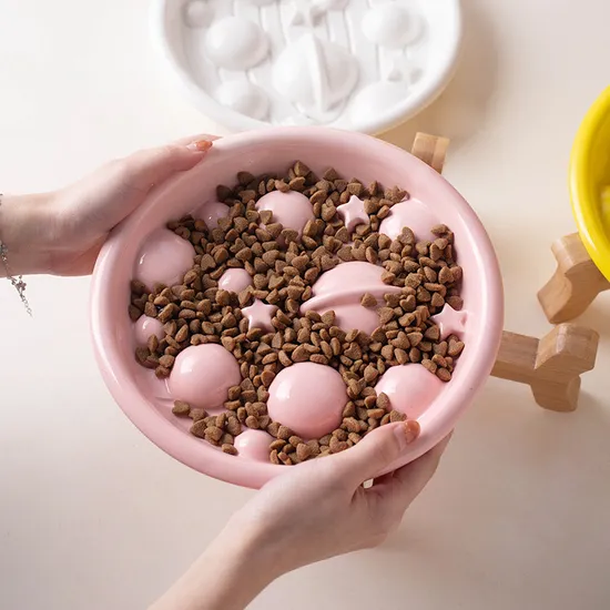 Anti - Choking and Slow - Feeding Ceramic Pet Food Plates Cat Dog Food Bowl with Bamboo Stand