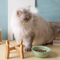 Nordic - Style Pet Ceramic Snack Food Bowl with Wooden High - Foot for Dog and Cat
