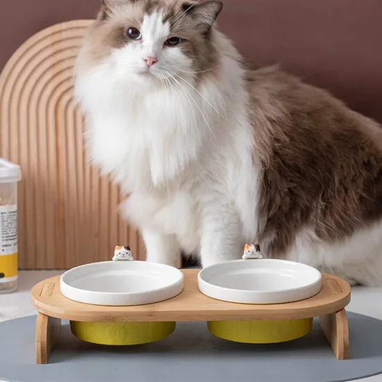 No Spill Ceramic Pet Bowl Dish with Wood Stand Ceramic Double Pet Bowl for Dog Cat