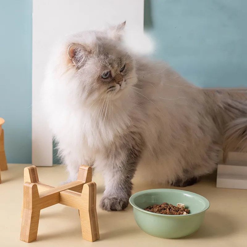 Nordic - Style Pet Ceramic Snack Food Bowl with Wooden High - Foot for Dog and Cat