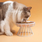 Metal High-Foot Neck-Protecting Ceramic Pet Water Bowl for Cats and Dogs