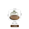 Fujian Factory Manufacture Round Acacia Wood Cake Stand with Glass Dome