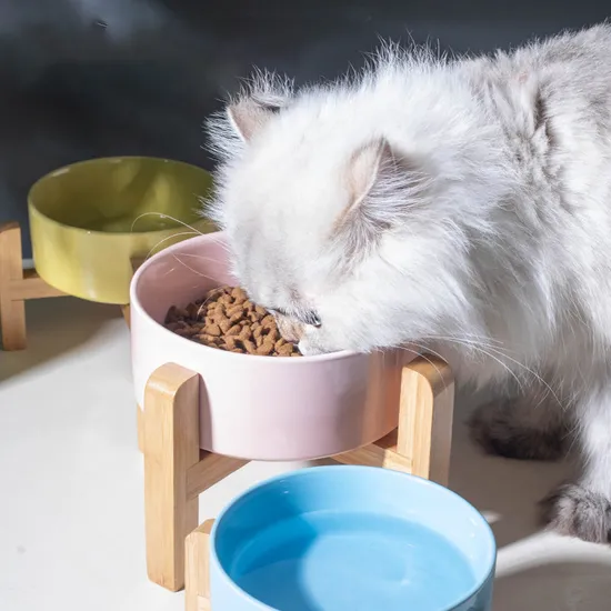 Neck-Protecting Ceramic Dog and Cat Food Bowl with Bamboo Rack