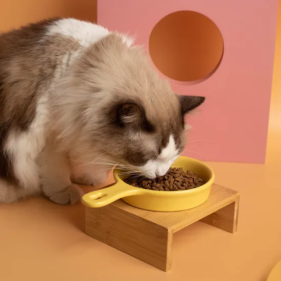 Flat - Bottomed Ceramic Pot Cat Bowl Slow - Feeding Bowl Drinking Bowl with Handle and Bamboo Stand