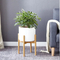 Adjustable 8 - 12 Inches Bamboo Indoor Plant Stand for Living Room and Balcony
